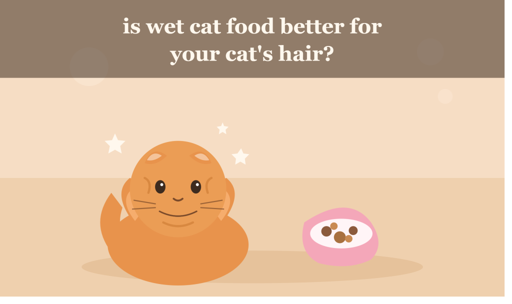 wet cat food for cat hair