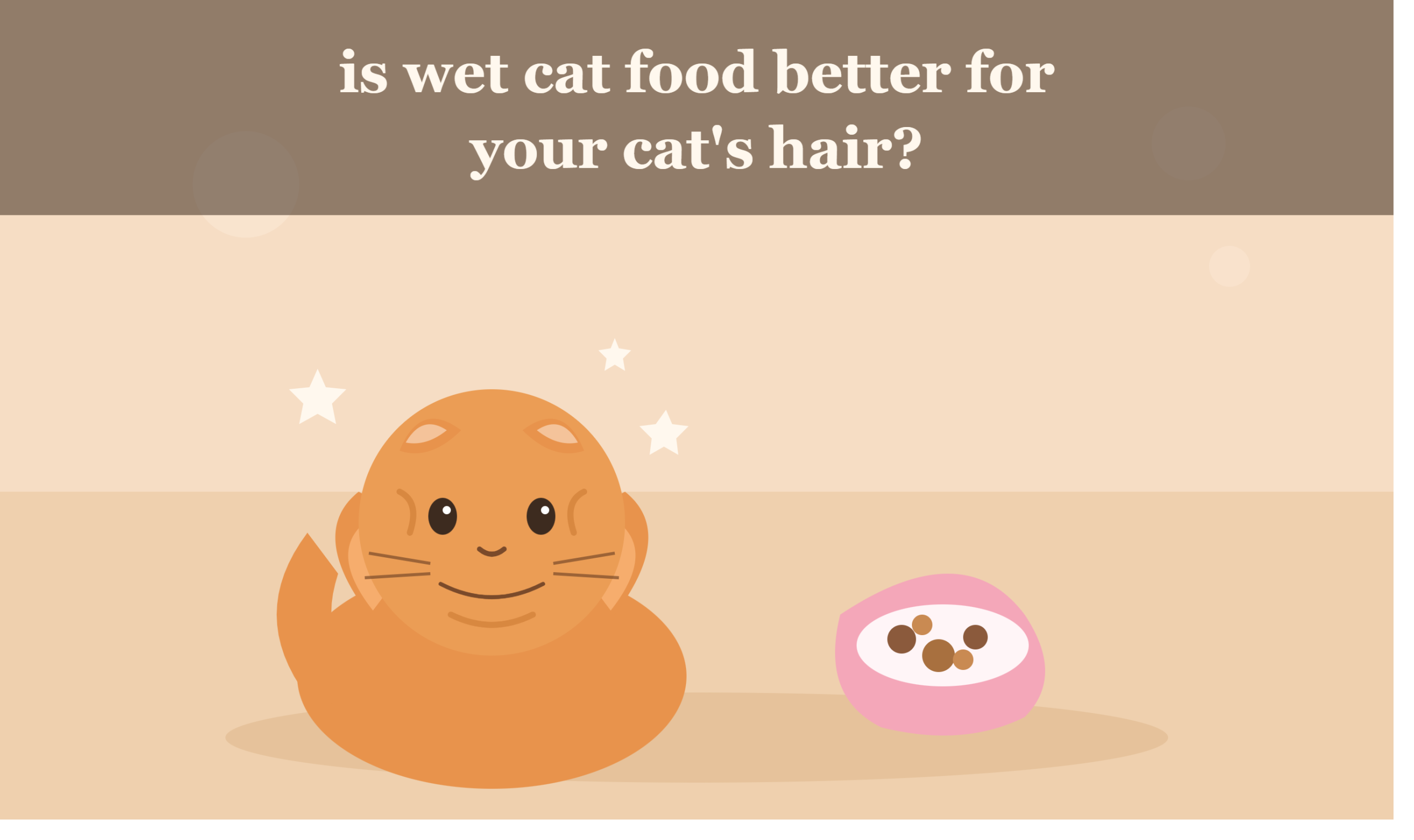 wet cat food for cat hair
